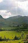 Buttermere in the Lake District National Park, Cumbria, England, United Kingdom, Europe