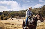 Cowboy with lasso riding horseback on a ranch