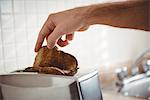 Close-up of man toasting bread in the kitchen at home