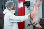 Butcher weighing raw meat at meat factory