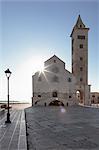 San Nicola Pellegrino cathedral, Piazza del Duomo, Trani, Le Murge, Barletta-Andria-Trani district, Puglia, Italy, Europe