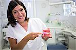 Portrait of dentist cleaning dental jaw model with a toothbrush in the clinic