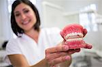 Portrait of female dentist holding a set of dentures in the clinic