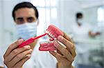 Dentist cleaning dental jaw model with a toothbrush in the clinic