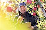 Portrait smiling male farmer with clipboard inspecting red apples in sunny orchard