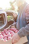 Male farmers loading red apples into car in sunny orchard