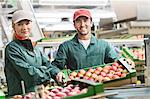 Portrait smiling workers with boxes of red apples in food processing plant