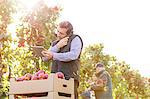 Male farmer with digital tablet talking on cell phone in sunny apple orchard