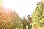 Farmers with clipboard talking in sunny apple orchard