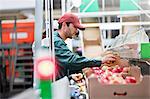 Male worker inspecting apples in food processing plant