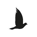Post pigeon or dove . Vector illustration. On white background