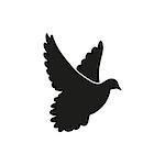 Simple flying white dove on white background as symbol of peace
