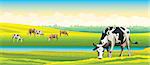 Herd of cows in green field on a cloudy sky. Vector rural landscape.