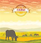 Silhouette of cow and rural landscape on a sunset sky. Vector of fresh farm products.