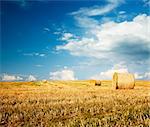 Beautiful Summer Farm Scenery with Haystacks. Cropped Field Landscape with Rolls. Blue Sky with White Clouds . Agriculture Concept. Toned Photo with Copy Space.