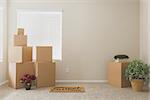 Variety of Packed Moving Boxes and Potted Plants and Welcome Mat In Empty Room with Room For Text.