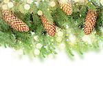 Fresh pine branch with cones and bokeh llights border over white background