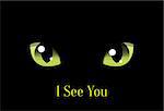 Cat Eyes on Black Background, Vector Halloween Design Element