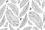Feather seamless pattern for your design. Vector illustration