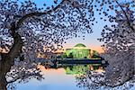 Washington, DC at the Jefferson Memorial during spring.