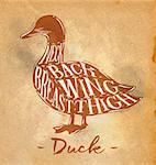 Poster duck cutting scheme lettering neck, back, wing, breast, thigh in retro style drawing on craft paper background
