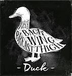 Poster duck cutting scheme lettering neck, back, wing, breast, thigh in vintage style drawing with chalk on chalkboard background