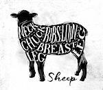 Poster sheep lamb cutting scheme lettering neck, chuck, ribs, breast, loin, leg in vintage style drawing on dirty paper background