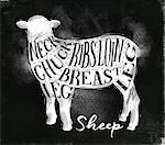 Poster sheep lamb cutting scheme lettering neck, chuck, ribs, breast, loin, leg in vintage style drawing with chalk on chalkboard background