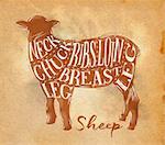 Poster sheep lamb cutting scheme lettering neck, chuck, ribs, breast, loin, leg in retro style drawing on craft paper background