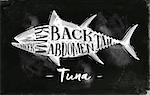 Poster tuna cutting scheme lettering cheek, kama, abdomen, back, tail in vintage style drawing with chalk on chalkboard background