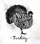 Poster turkey cutting scheme lettering wing, tenderloin, thigh, leg, breast in vintage style drawing on dirty paper background