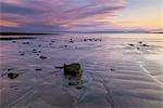 Rinevella Bay, County Clare, Munster, Republic of Ireland, Europe