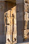 Carved relief of Royal Persian Guards, Persepolis, UNESCO World Heritage Site, Iran, Middle East