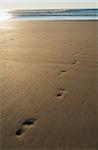 Footprints in the sand on the beach at sunset with the Atlantic Ocean in the background at Royan, France