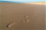 Footprints in the sand on the beach and sand dunes at sunset with the Atlantic Ocean in the background at Royan, France