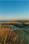 Scenic view of dune heath and Atlantic Ocean at sunset at Royan, France