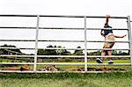 Boy climbing gate to see pigs on farm