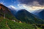 Chomrong Village Area, ABC trek (Annapurna Base Camp trek), Nepal