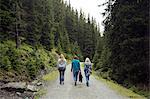 Rear view of three female friends walking along forest dirt track, Sattelbergalm, Tyrol, Austria