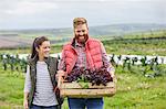 Couple on farm holding freshly harvested lettuce in wooden crate