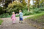 Rear view of brother and sister holding hands walking in park