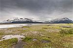 Snow capped mountains across wetlands, Bird Point, Seward Highway, Alaska, USA