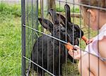 Children feeding rabbits with carrots