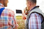 Rear view of farmers in wheat field looking at digital tablet