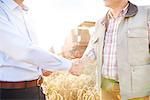 Cropped view of farmer and businessman in wheat field shaking hands