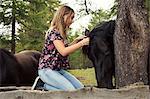 Girl kneeling to plait horse mane in forest, Sattelbergalm, Tyrol, Austria