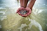 Hands full of seashells from ocean