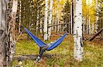 Woman relaxing in hammock, Flagstaff, Arizona, USA