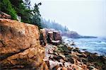 Acadia National Park in Maine. Coastline, stony beaches and pine forests.