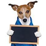 jack russell dog in a towel  not so amused about that , with blue color,  having a spa or wellness treatment or is about to have a shower , holding a placard or banner  blackboard , isolated on white background
